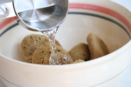 La prima notte a casa mia le spugne la passano in un bagno di acqua e aceto per essere pulite.