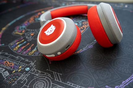 Die Bedienelemente und Anschlüsse der Tigerbuddies.