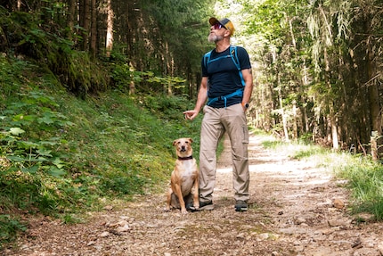 On the road with my dog Mac, a Podenco mix from Andalusia.
