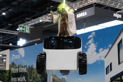 Robot Willow looks likeable. And mascot Yoda puts the icing on the cake.