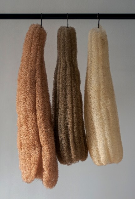 Die getrocknete Luffafrucht kann nicht nur Flüssigkeiten auf-, sondern auch Farbe annehmen.