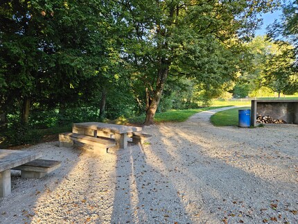 Die Kamera zeigt ein sehr scharfes Bild mit knalligen Farben.