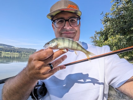 Al terzo tentativo, ho finalmente pescato un pesce persico (anche se molto piccolo).