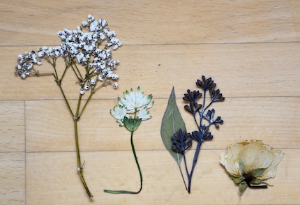 Les plus belles fleurs, de gauche à droite : gypsophile, astrance, eucalyptus et rose.