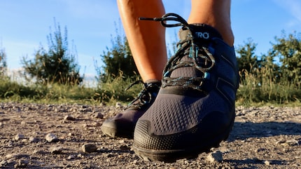 Una suola robusta, una punta rinforzata e una rete permeabile all'aria contraddistinguono la scarpa.