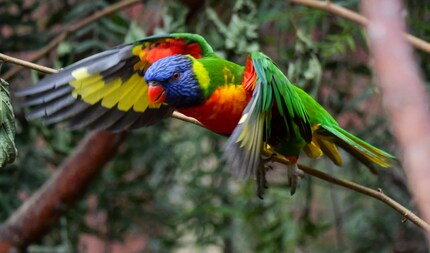 1/1250 sec. f/5,1, 4000 ISO, 200 mm.