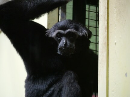 Esempio di JPEG a 6400 ISO, direttamente dalla fotocamera.