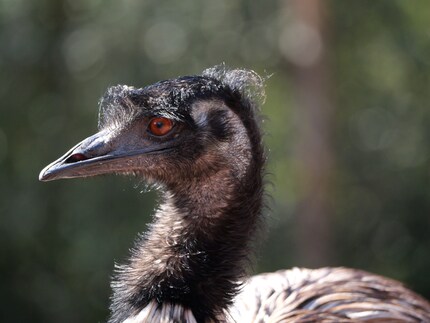 In piena luce solare, il piccolo sensore fatica un po’ a gestire la dinamica.