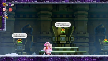 Die Plauderblumen haben keine Freude an meiner Entdeckerlust.