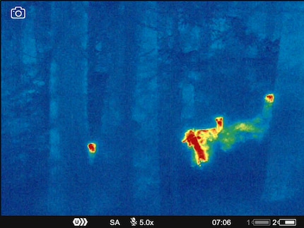 Four deer in 5x magnification.