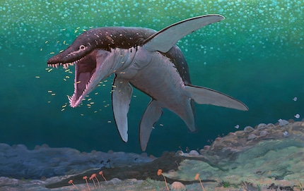 Une torpille de six mètres | Les Thalassophonea pouvaient atteindre jusqu'à dix mètres de long.