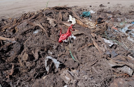 Voici à quoi ressemble en partie le compost lorsqu’il arrive chez Ricoter. 
