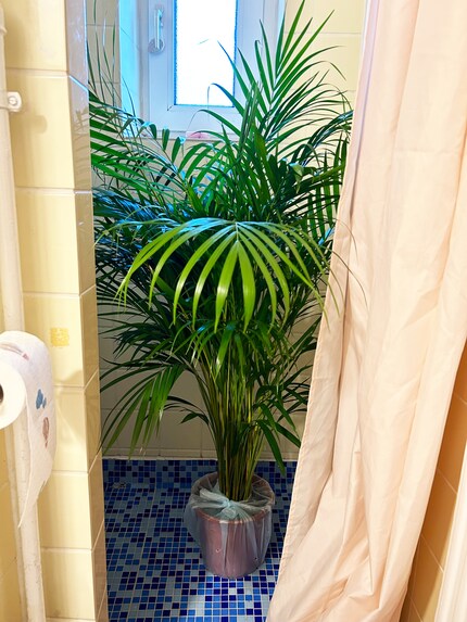 Fertig für die Planschparty.