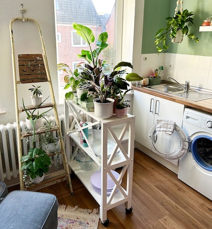 ... sodass die Pflanzen mehr Sonne abkriegen.