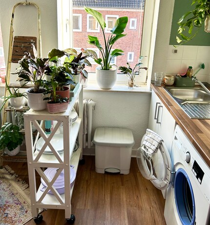 Morgens kommt der Wagen vors Fenster …