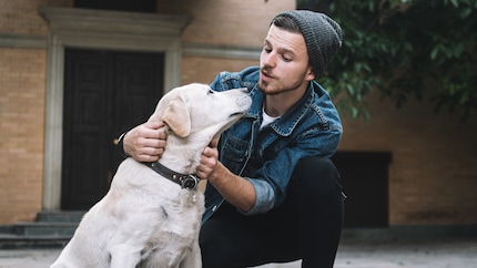 Pourrons-nous bientôt communiquer avec nos chiens via l’application Zoolingua ? Le Dr Con Slobodchikoff, spécialiste du comportement animal, pense que c’est tout à fait possible grâce aux nouvelles technologies et travaille avec son équipe au développement d’une telle application.