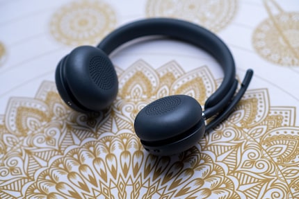 Le Zone Wireless 2 est réglable en continu.