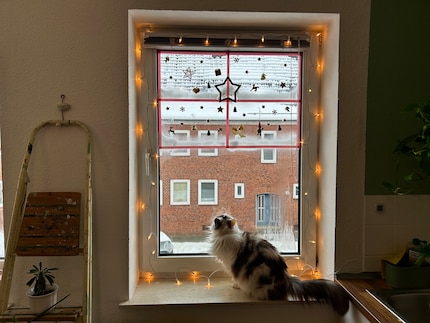 Le tue finestre possono essere bellissime anche se le decori solo nella parte superiore.