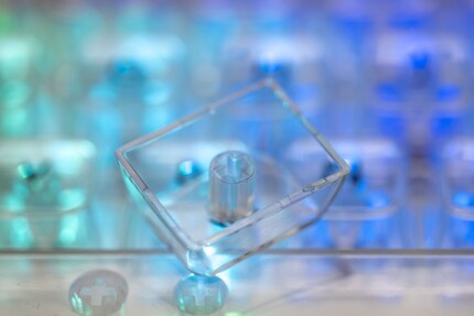 I keycap hanno bordi taglienti nella parte inferiore. Puoi anche vedere le mie impronte digitali sulla barra spaziatrice in basso a sinistra.