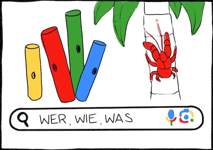 Con Boomwhackers potresti giocare alla prossima hit estiva. Il ladro di palme è un granchio il cui secondo nome è, appropriatamente, Coconut Robber.