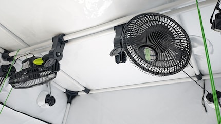 Les deux ventilateurs de circulation d’air de Garden HighPro sont faits pour les growbox et conçus pour un fonctionnement continu.