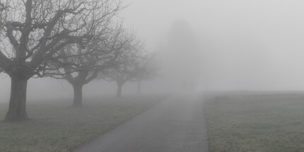 Je distingue deux piétons qui avancent vers moi. Enfin, je crois.