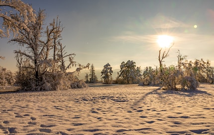 Without separate correction of the sky.