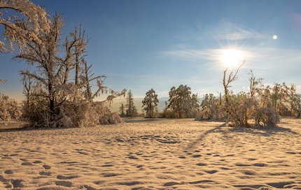 With separate correction of the sky.