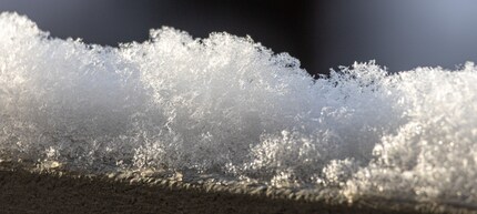 Suboptimal close-up.