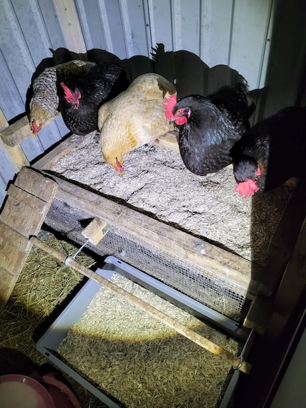 When Henry still ruled the roost.