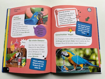 Die kurzen Texte in großer Schrift sind eingebettet in kindgerechtes Design und spannende Bilder, so fällt das Lesen auch als Anfänger leicht.