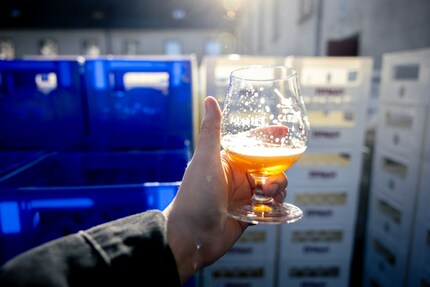 As golden as the spring sun: the «Pilgrim Kloster Amber».