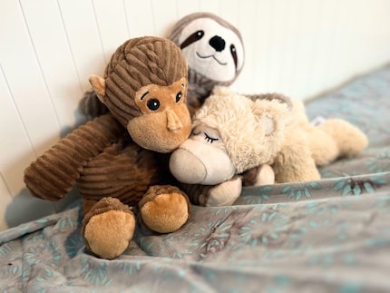 Nicht nur niedlich und flauschig: Die Wärmetiere von Warmies sind besonders für Kinder eine super Alternative zur herkömmlichen Bettflasche.