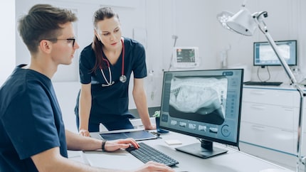 L'entrée dans la vie professionnelle est particulièrement difficile pour les jeunes vétérinaires aujourd'hui.