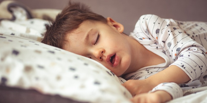 Shutterstock/Dragana Gordic