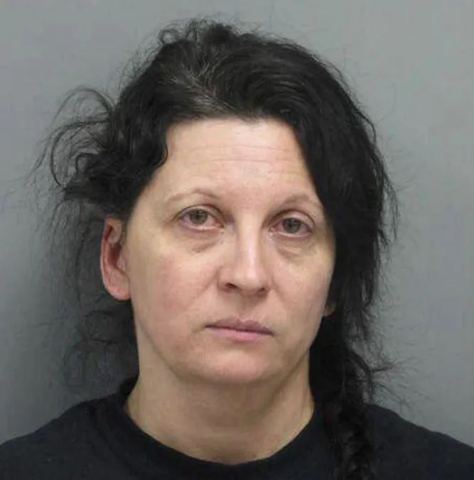 Liz Golyar turned out to be the real stalker of Dave Kroupa. She was convicted of first-degree murder of Cari Farver and arson.