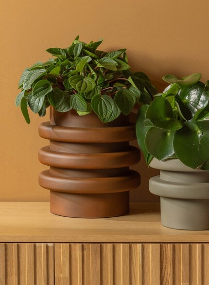 Quello che le scarpe da ginnastica con la suola grossa sono per la moda, il vaso con la forma grossa è per gli accessori per la casa.