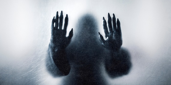 Shutterstock//Jakub Krechowicz Shutterstock//Jakub Krechowicz