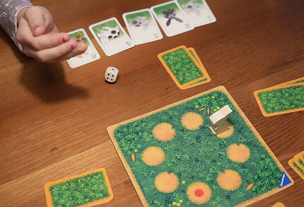 Max Mümmelmann hoppelt im Kreis und sammelt Hasenfamilien-Karten.