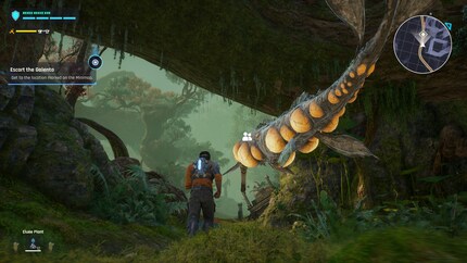 Galenta sera plus tard à ma disposition comme animal volant.