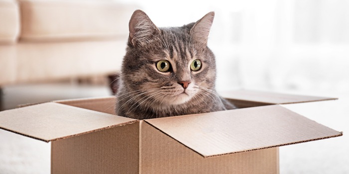 Shutterstock/New Africa Shutterstock/New Africa