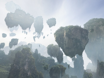 Cosa è venuto prima? I kokedama o le montagne fluttuanti di «Avatar»?
