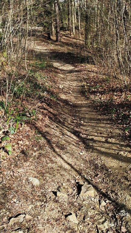 Tratti come questo, invece, non mi spaventano per nulla e sono ideali per me.