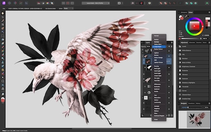 Affinity Photo è un'alternativa economica ad Adobe Photoshop.