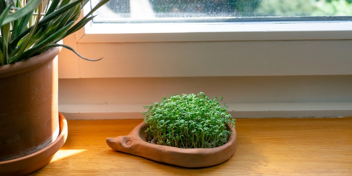 Stefanie Lechthaler Stefanie Lechthaler