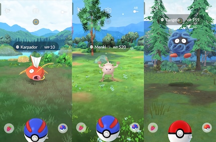 Diese Biome habe ich im Spiel bereits entdeckt. Sie zeigen Wasser, Gebirge und Tannebäume.