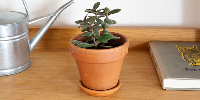 Stefanie Lechthaler Stefanie Lechthaler