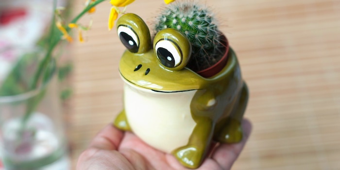 Shutterstock Shutterstock