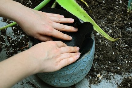 Ein Vlies ist nicht mies: Es soll den Blähton von der darüber liegenden Erde trennen.