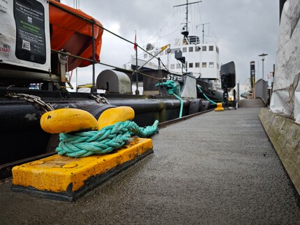 De afzonderlijke draden zijn te zien in de dauw en de onscherpte is ook prettig.
